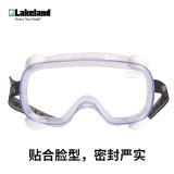 Lakeland安全護(hù)目鏡戶外防霧防沖擊噴濺防風(fēng)G1510AF
